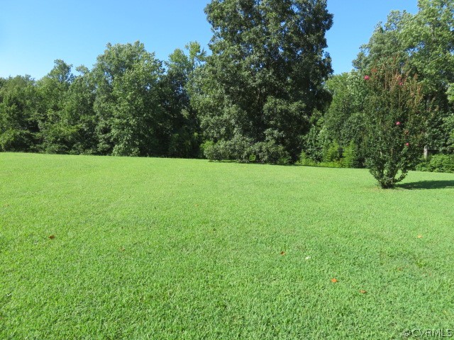 18503 Harrisons Road Amelia Court House, VA 23002 - Photo 9 of 50 18503 Harrisons Rd - Rear Yard 2