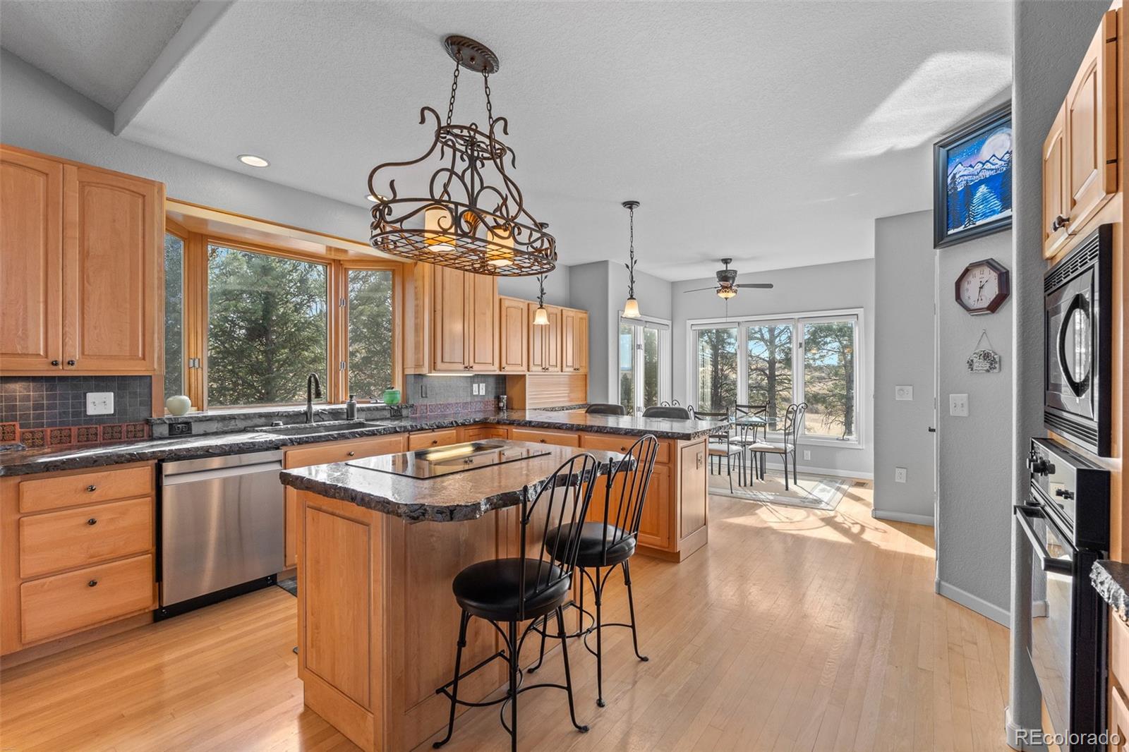 7539 Stroh Road Parker, CO 80134 - Photo 13 of 49