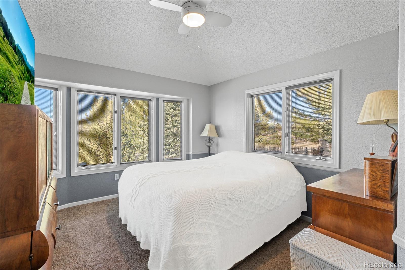 7539 Stroh Road Parker, CO 80134 - Photo 21 of 49