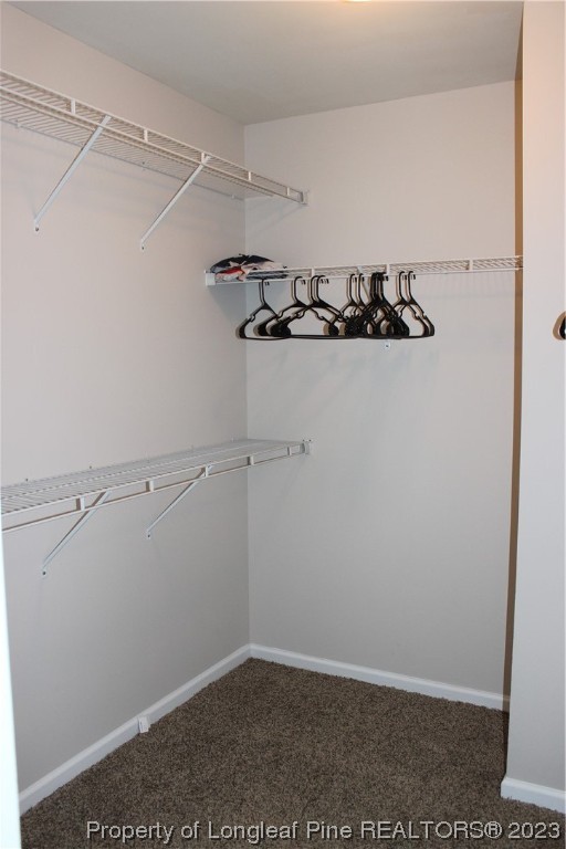 678 Cape Fear Road Raeford, NC 28376 - Photo 26 of 30 a view of a room with racks on the wall