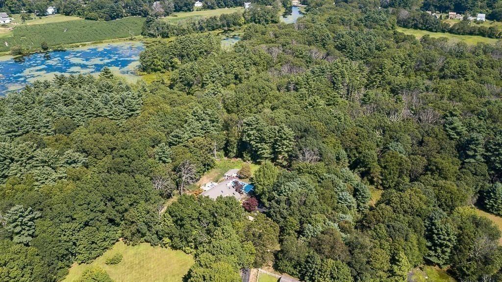 38 Johnson Road Sutton, MA 01590 - Photo 40 of 42 a view of a forest with a houses