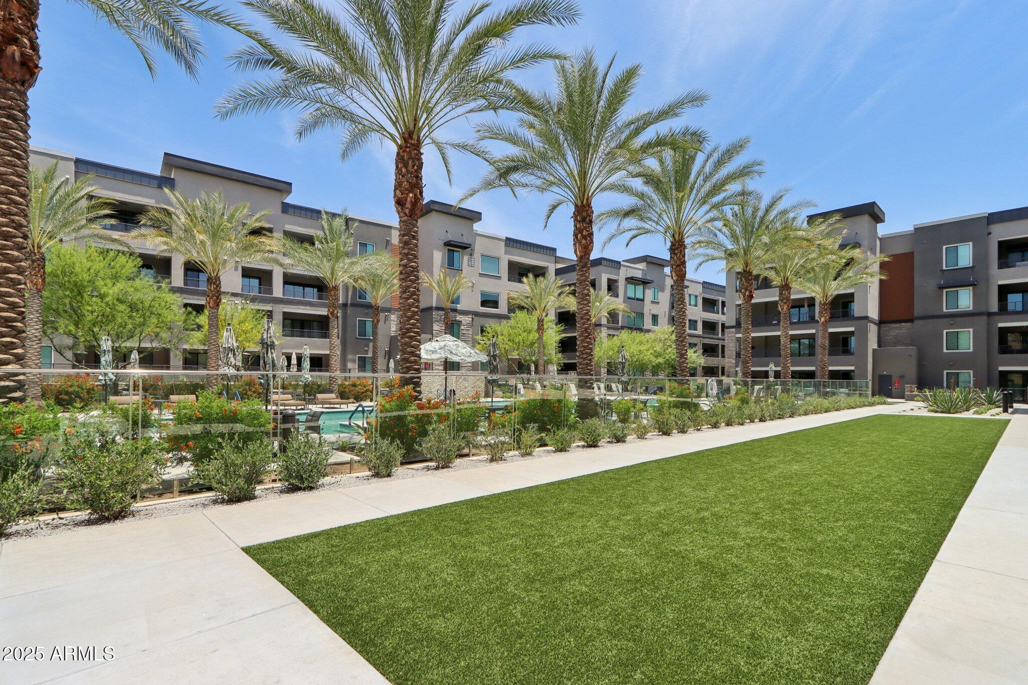 5250 East Deer Valley Drive, Unit 247 Phoenix, AZ 85054 - Photo 44 of 56 a view of a palm trees in front of a building
