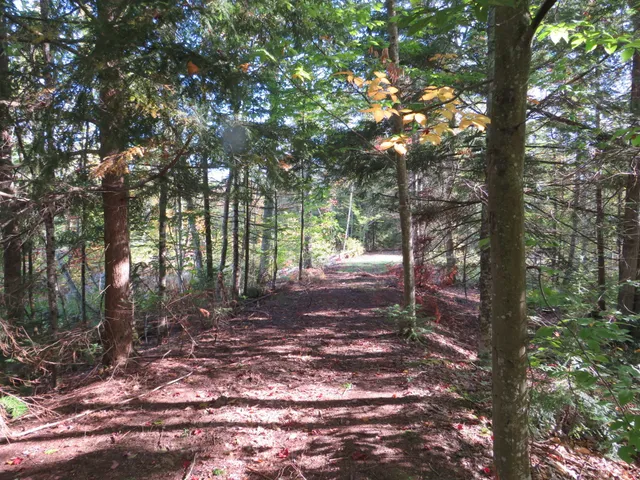 $199,000 | 1796 Sigma Road Southeast, Kalkaska, MI 49646