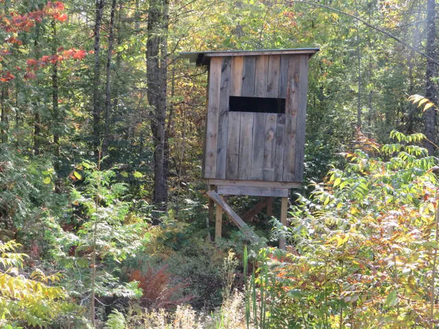 $199,000 | 1796 Sigma Road Southeast, Kalkaska, MI 49646