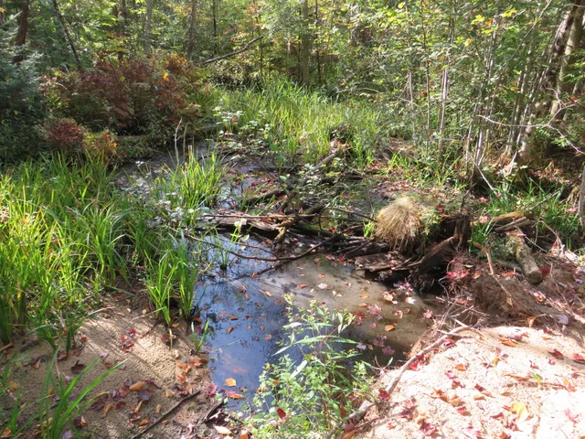 $199,000 | 1796 Sigma Road Southeast, Kalkaska, MI 49646