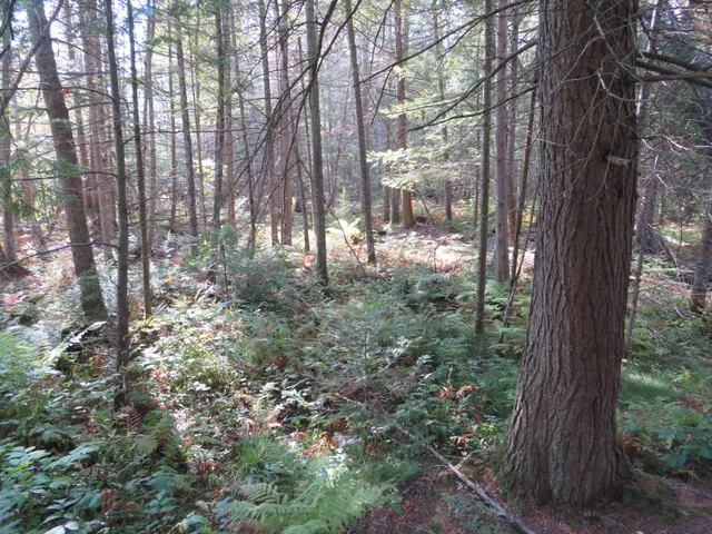 $199,000 | 1796 Sigma Road Southeast, Kalkaska, MI 49646