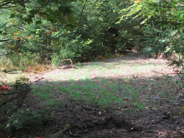 $199,000 | 1796 Sigma Road Southeast, Kalkaska, MI 49646