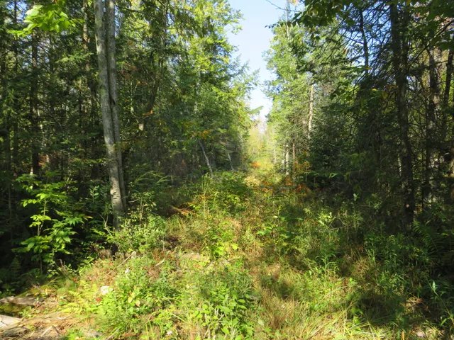 $199,000 | 1796 Sigma Road Southeast, Kalkaska, MI 49646