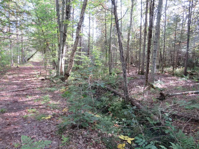 $199,000 | 1796 Sigma Road Southeast, Kalkaska, MI 49646