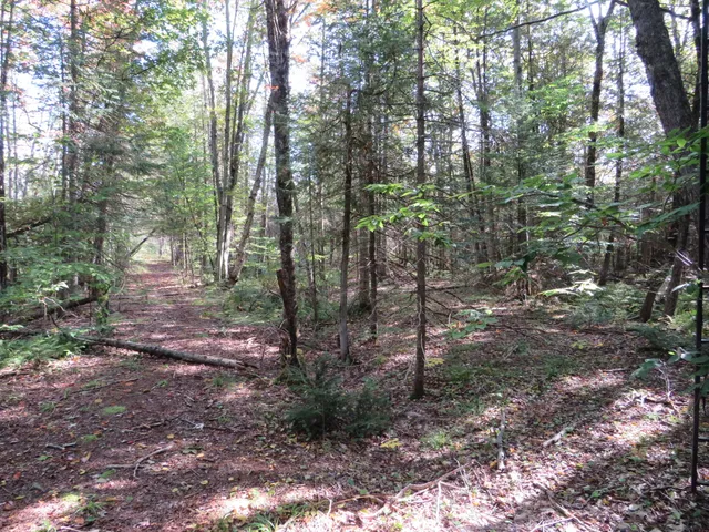 $199,000 | 1796 Sigma Road Southeast, Kalkaska, MI 49646