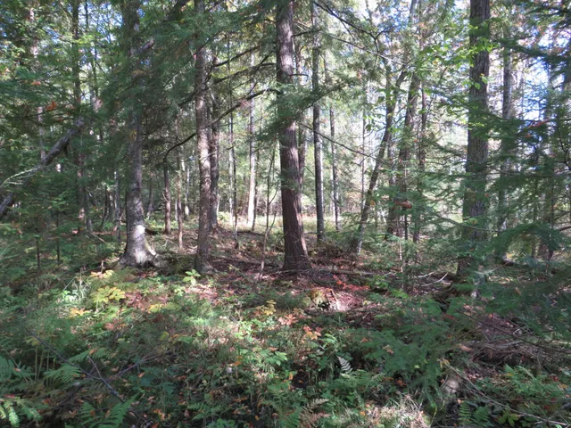 $199,000 | 1796 Sigma Road Southeast, Kalkaska, MI 49646