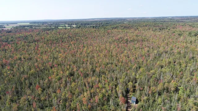 $199,000 | 1796 Sigma Road Southeast, Kalkaska, MI 49646