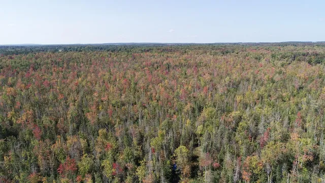 $199,000 | 1796 Sigma Road Southeast, Kalkaska, MI 49646