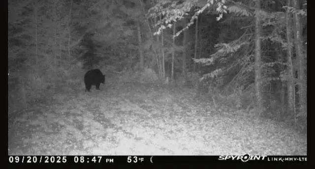 $199,000 | 1796 Sigma Road Southeast, Kalkaska, MI 49646