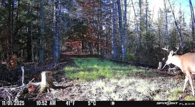 $199,000 | 1796 Sigma Road Southeast, Kalkaska, MI 49646