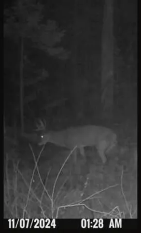 $199,000 | 1796 Sigma Road Southeast, Kalkaska, MI 49646