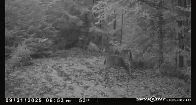 $199,000 | 1796 Sigma Road Southeast, Kalkaska, MI 49646