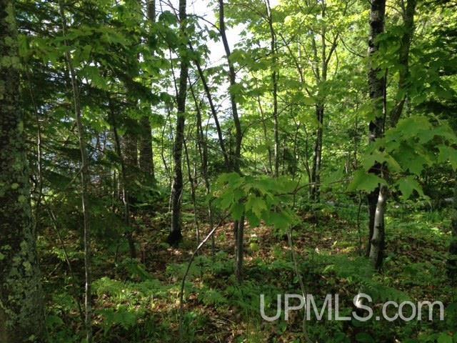 7 Bootjack Road, Unit PRINCESS POINT AREA Lake Linden, MI 49945 - Photo 21 of 32 Gallery Image 21