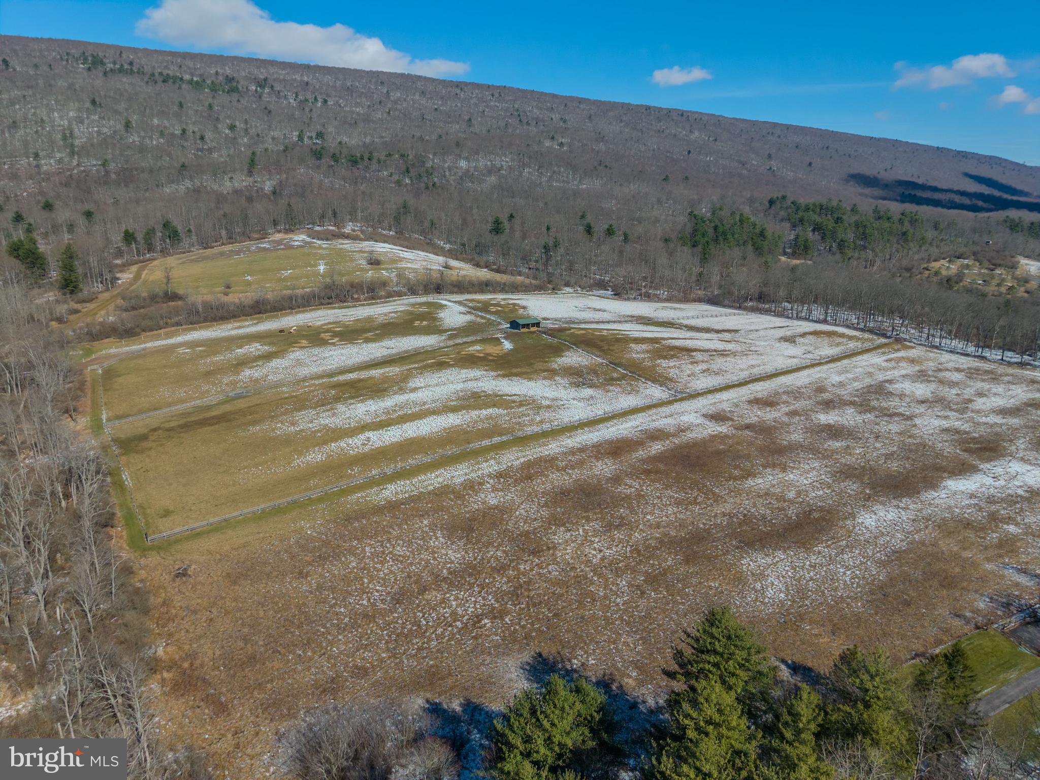 4503 Scotch Valley Road Hollidaysburg, PA 16648 - Photo 23 of 50 a view of a backyard