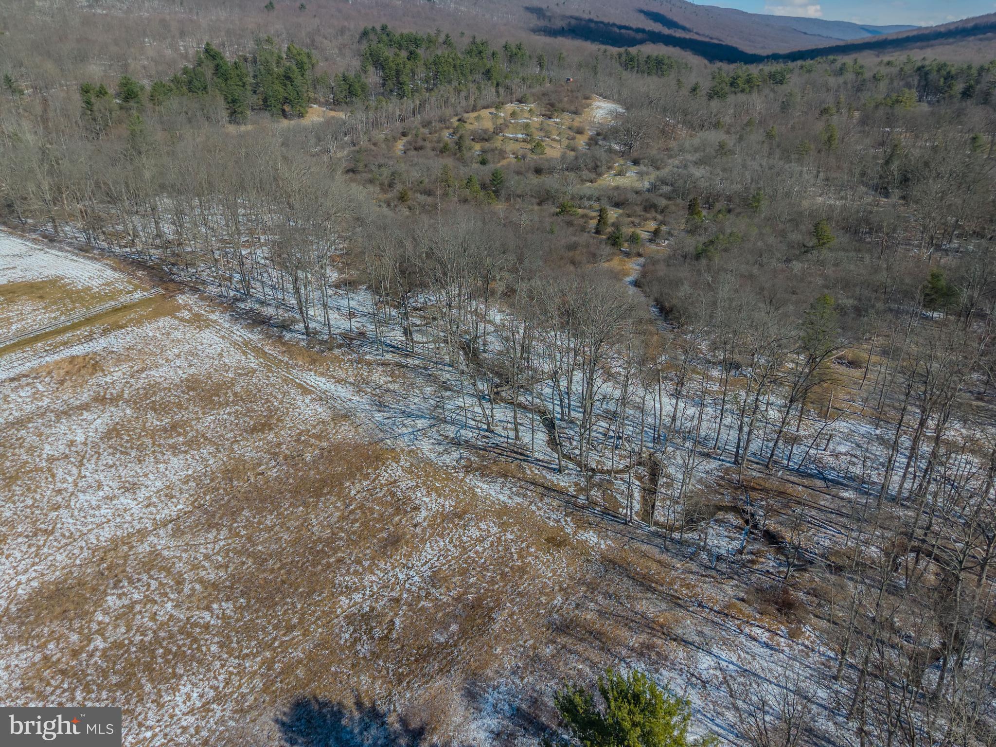 4503 Scotch Valley Road Hollidaysburg, PA 16648 - Photo 24 of 50 a view of a dry yard with wooden fence