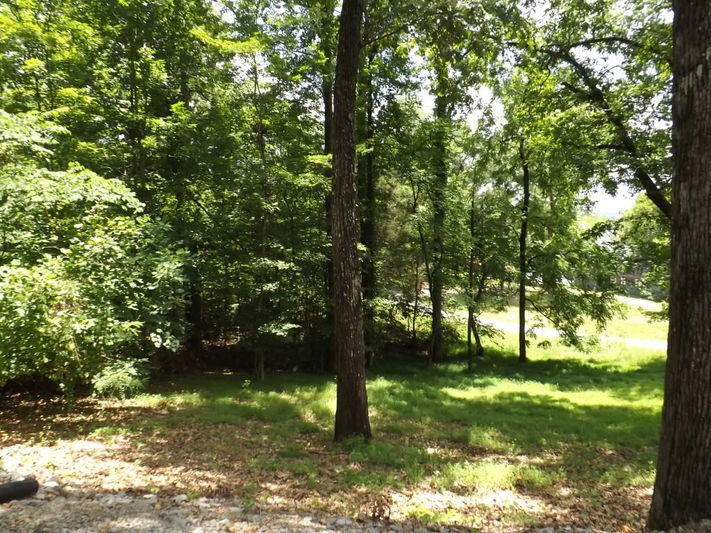 1694 Stump Hollow Road, Unit 6972 Spring City, TN 37381 - Photo 16 of 48 property 7