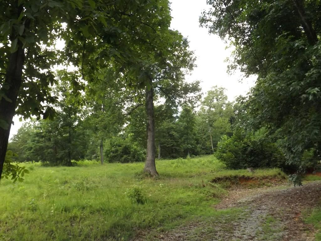 1694 Stump Hollow Road, Unit 6972 Spring City, TN 37381 - Photo 20 of 48 property 3