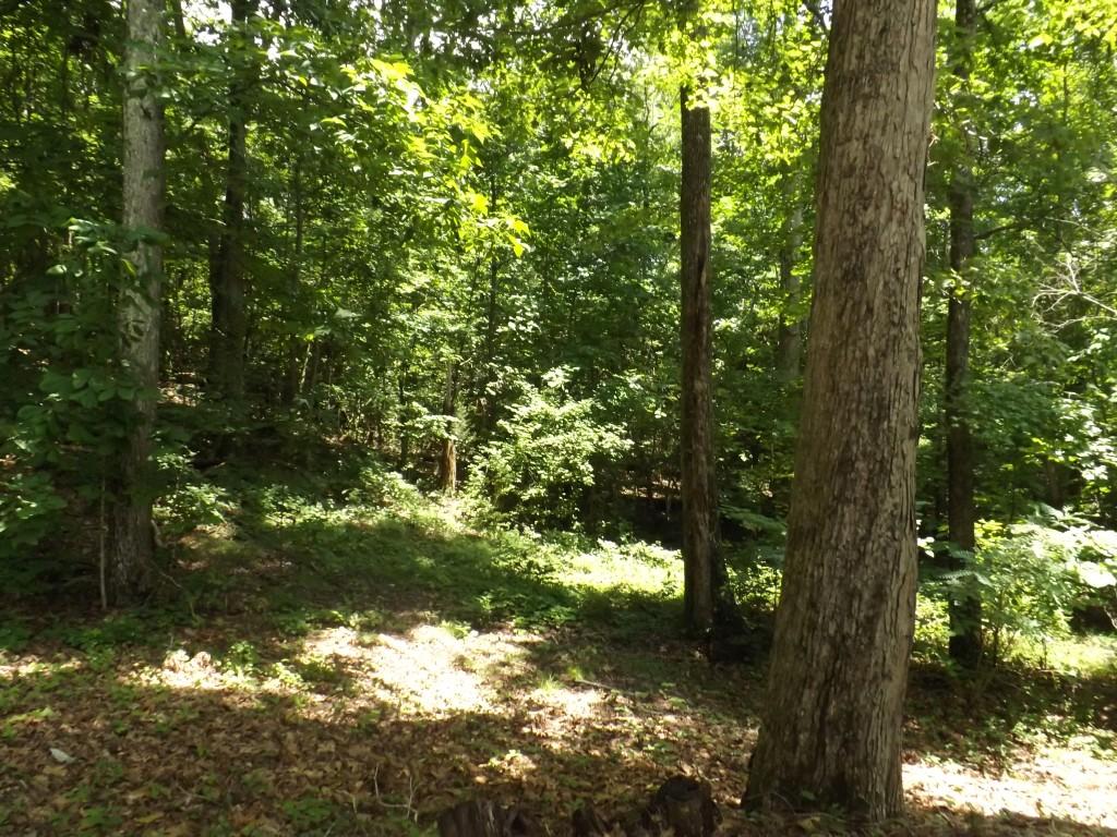 1694 Stump Hollow Road, Unit 6972 Spring City, TN 37381 - Photo 21 of 48 property 2