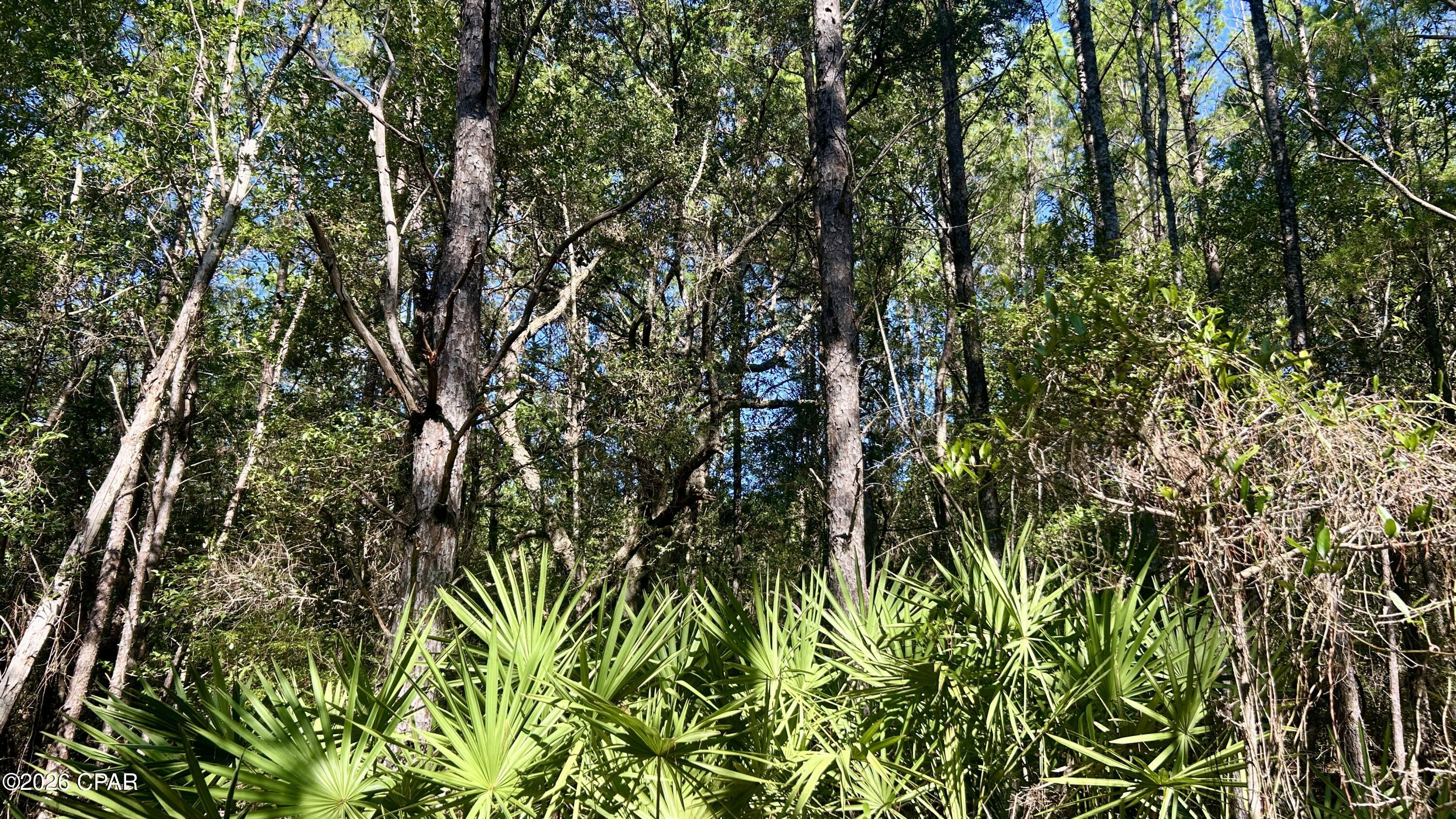 B Trawick Creek Road Holt, FL 32564 - Photo 21 of 27 Gallery Image 21