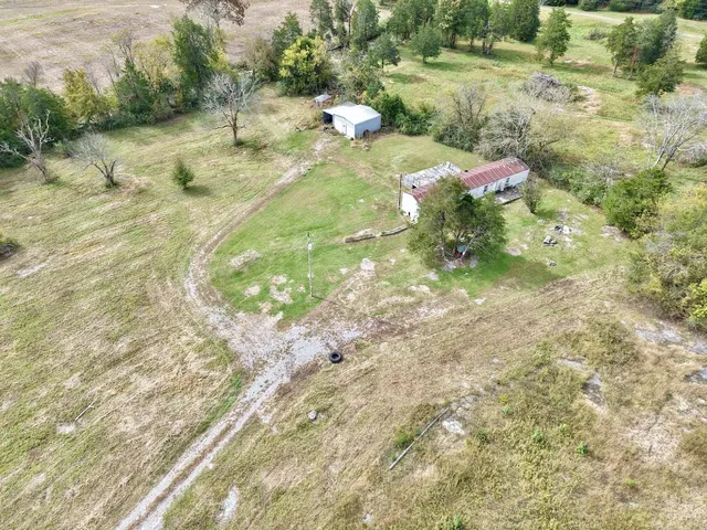 a view of a yard with a trees
