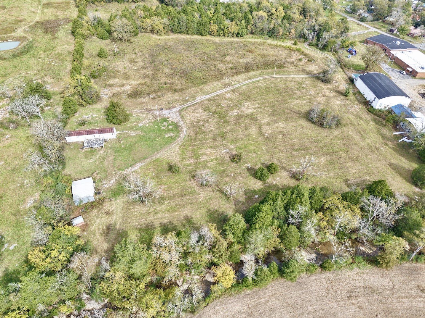 104 Vantrease Avenue Auburntown, TN 37016 - Photo 5 of 24 a view of a yard with a trees