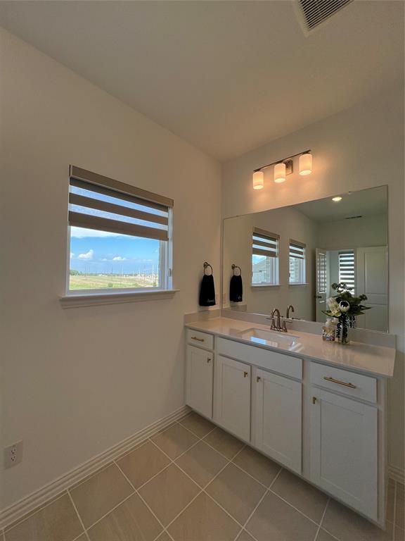 2616 Rolling Mdw Road Celina, TX 75009 - Photo 21 of 35 Bathroom featuring vanity, plenty of natural light, and light tile patterned floors
