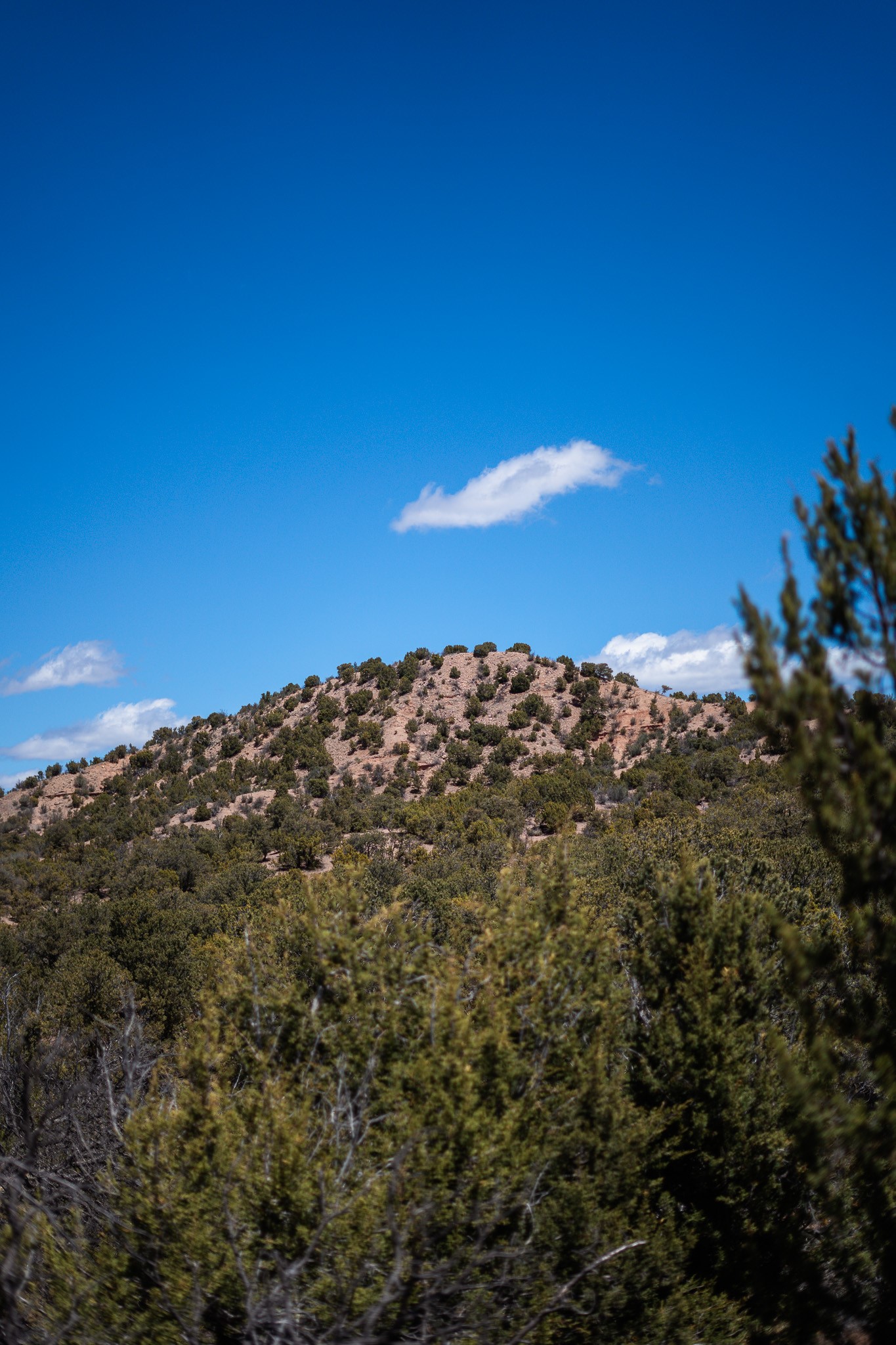 67-acres Red Ridge Santa Fe, NM 87501 - Photo 24 of 40 Middle Lot
