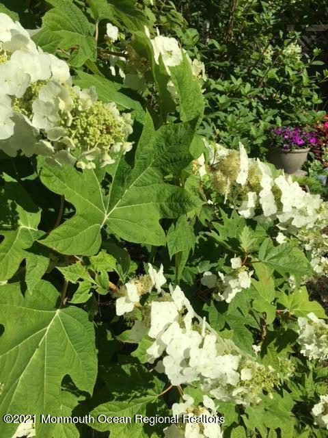 210 North Success Road Cream Ridge, NJ 08514 - Photo 49 of 50 a view of flowers