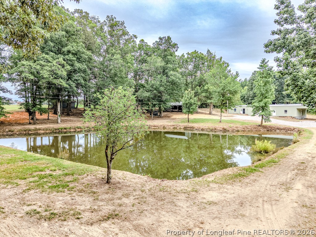 2957 Cypress Church Road Cameron, NC 28326 - Photo 38 of 48 Pond to Shop