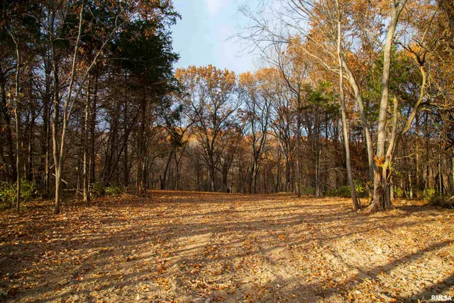 $495,600 | 0 West Smithville Road, Trivoli, IL 61569