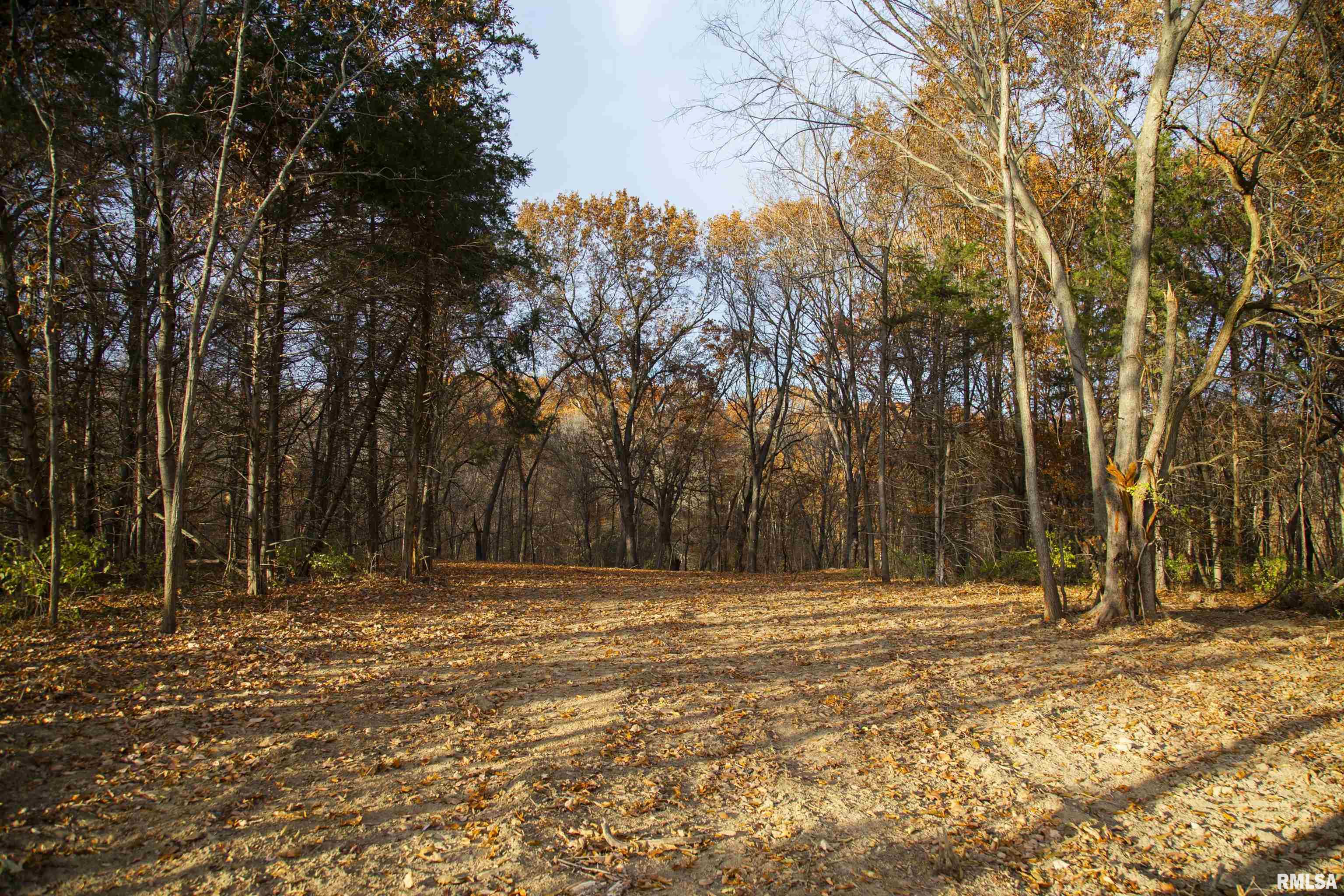 0 West Smithville Road Trivoli, IL 61569 - Photo 11 of 37