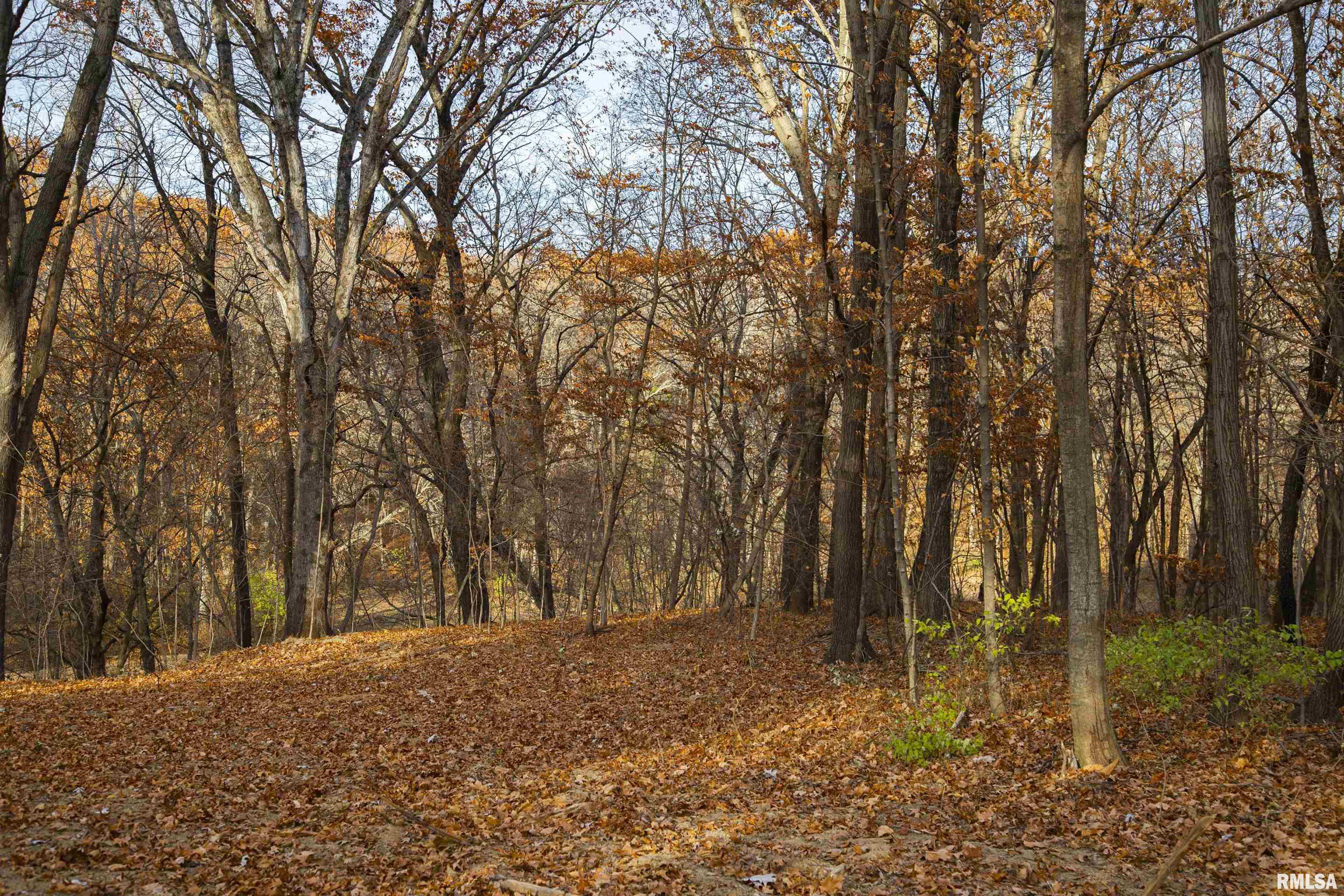 0 West Smithville Road Trivoli, IL 61569 - Photo 12 of 37