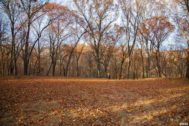 $495,600 | 0 West Smithville Road, Trivoli, IL 61569