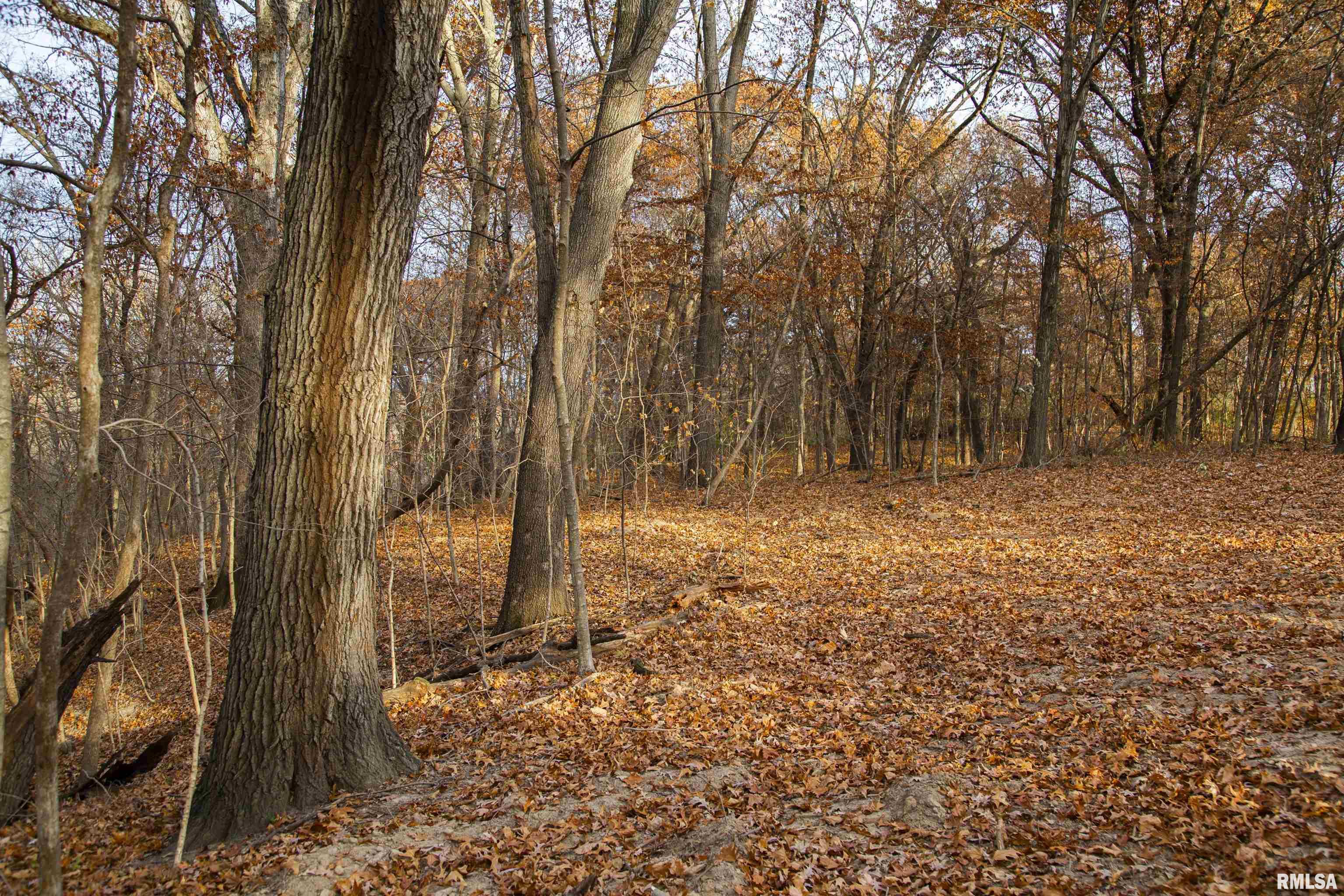 0 West Smithville Road Trivoli, IL 61569 - Photo 15 of 37