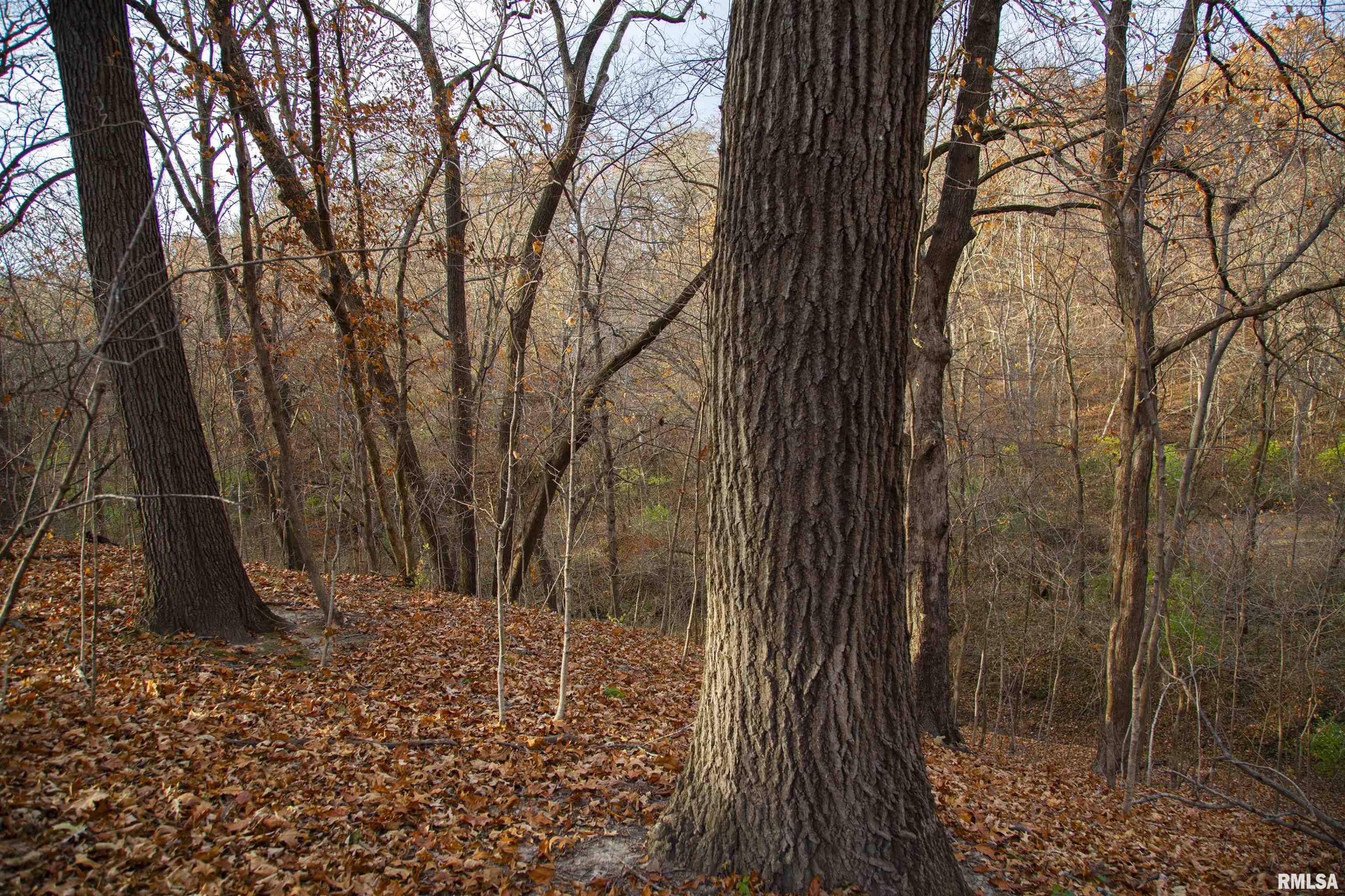 0 West Smithville Road Trivoli, IL 61569 - Photo 16 of 37