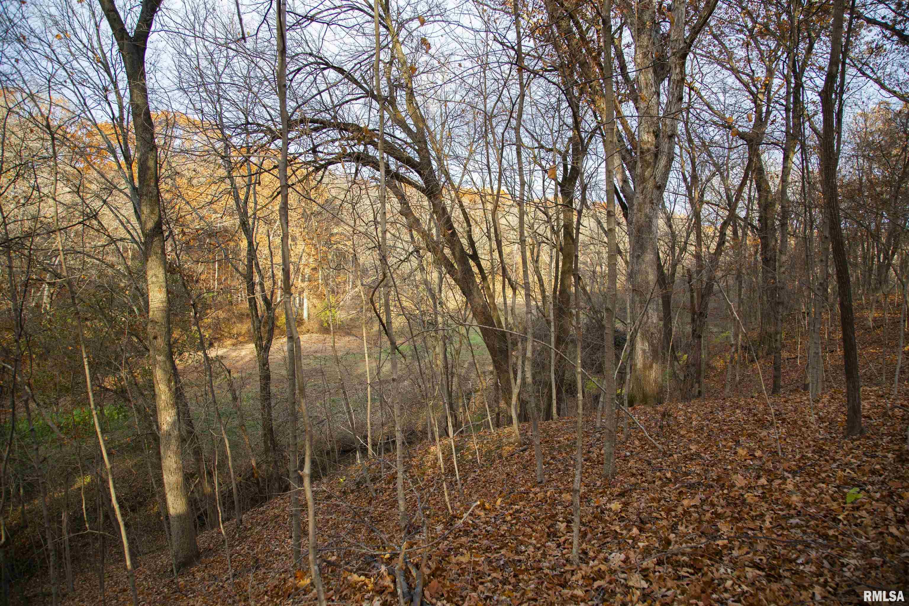 0 West Smithville Road Trivoli, IL 61569 - Photo 17 of 37