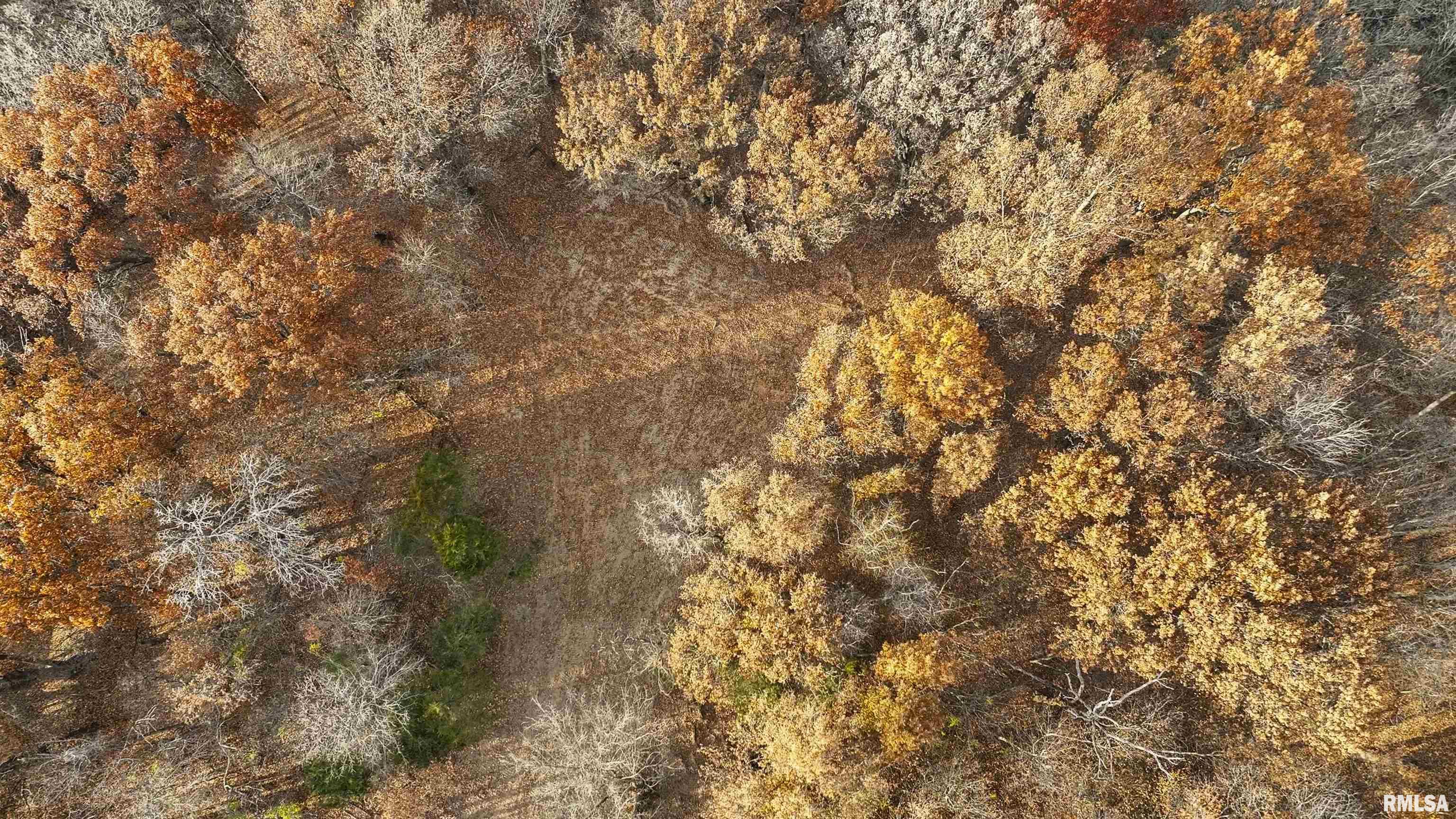 0 West Smithville Road Trivoli, IL 61569 - Photo 18 of 37