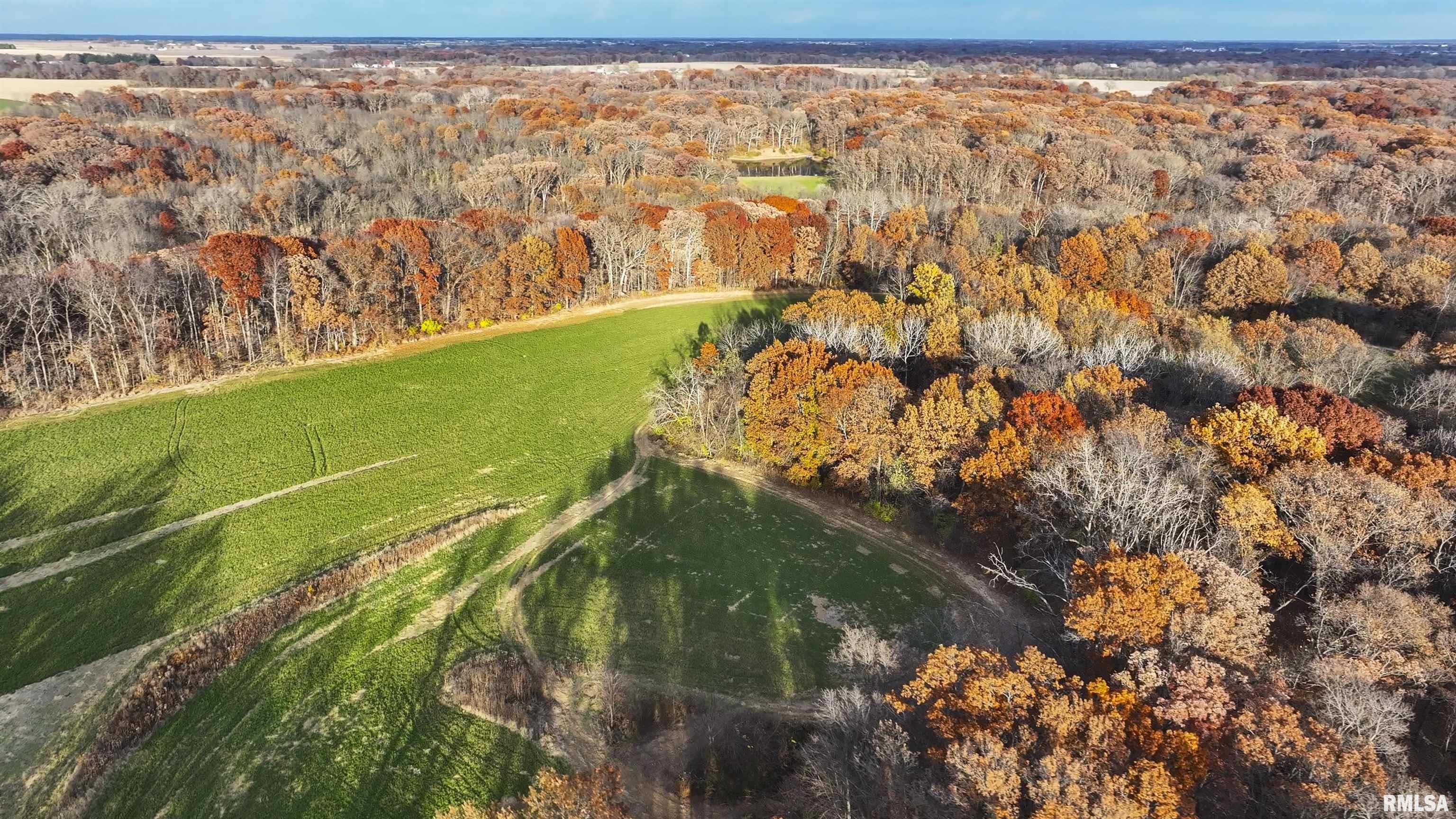 0 West Smithville Road Trivoli, IL 61569 - Photo 19 of 37