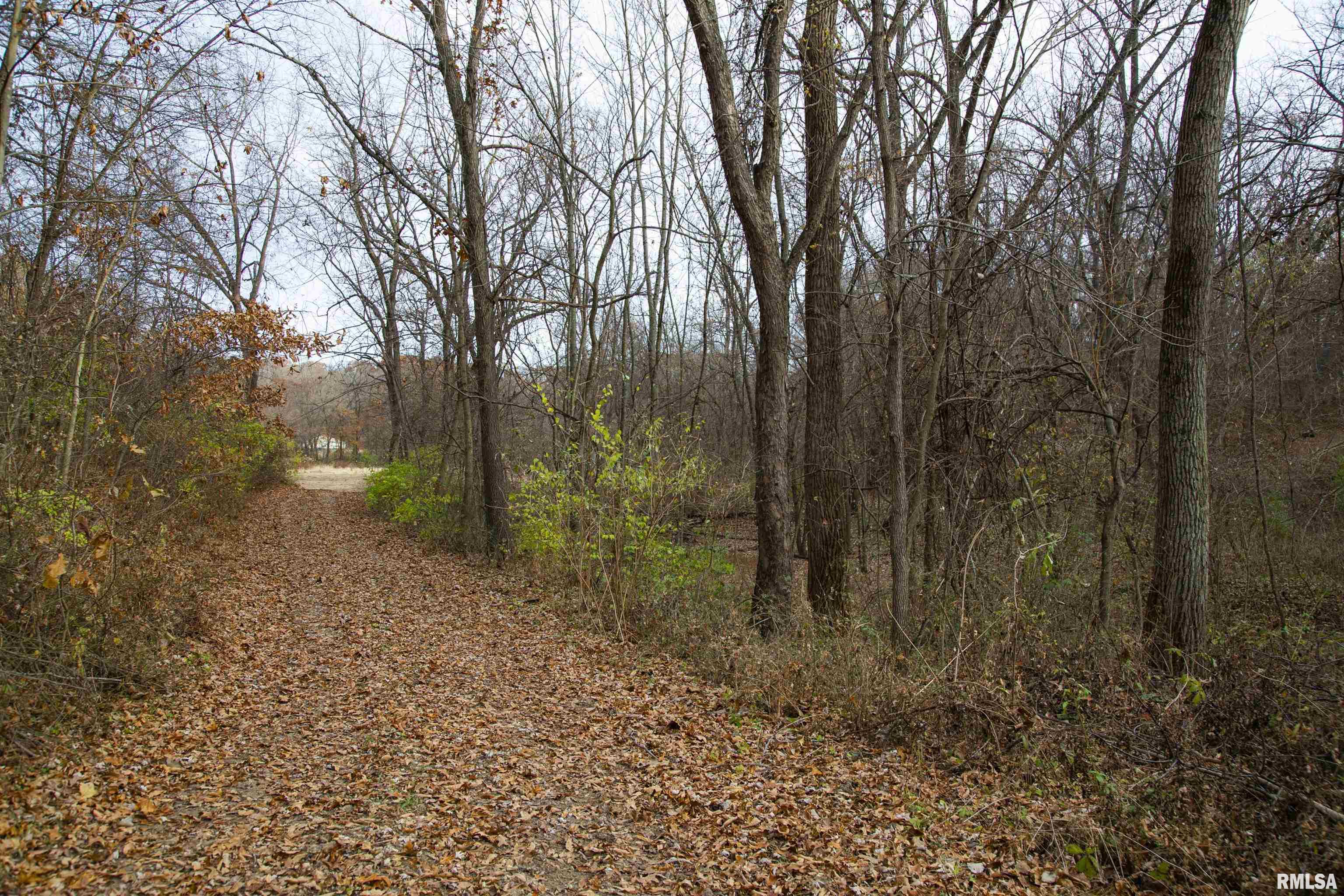 0 West Smithville Road Trivoli, IL 61569 - Photo 2 of 37