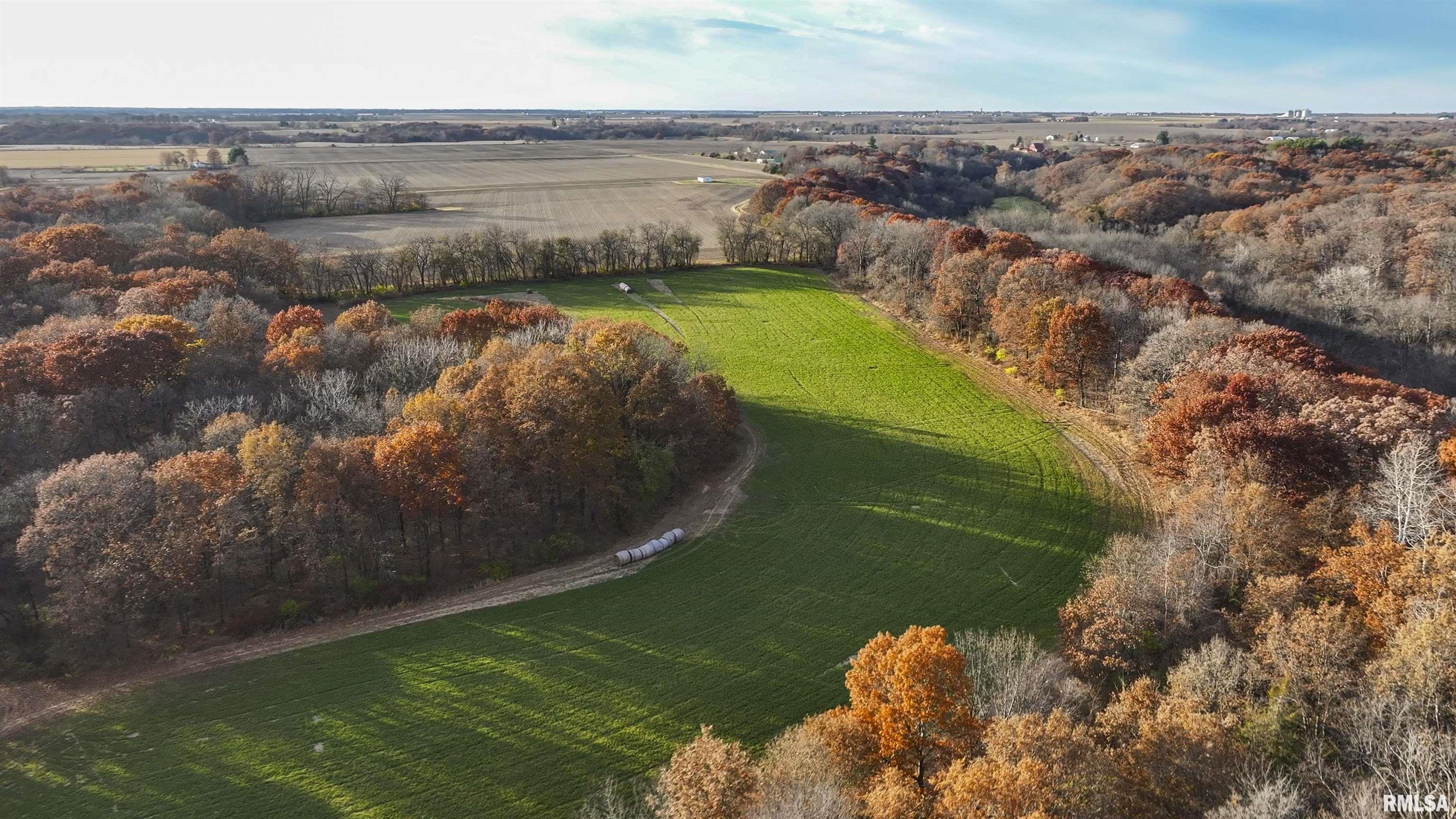 0 West Smithville Road Trivoli, IL 61569 - Photo 22 of 37