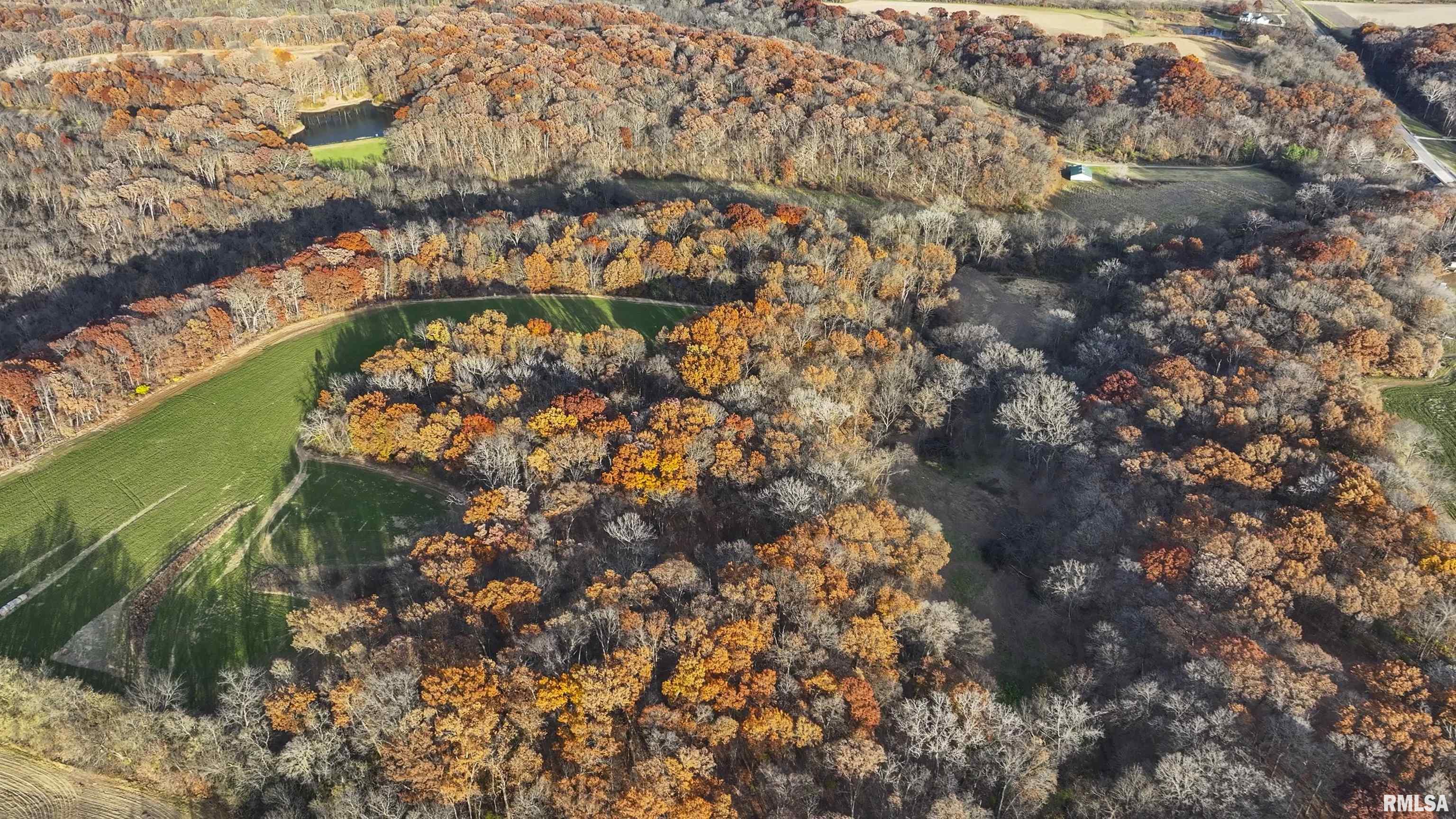 0 West Smithville Road Trivoli, IL 61569 - Photo 23 of 37