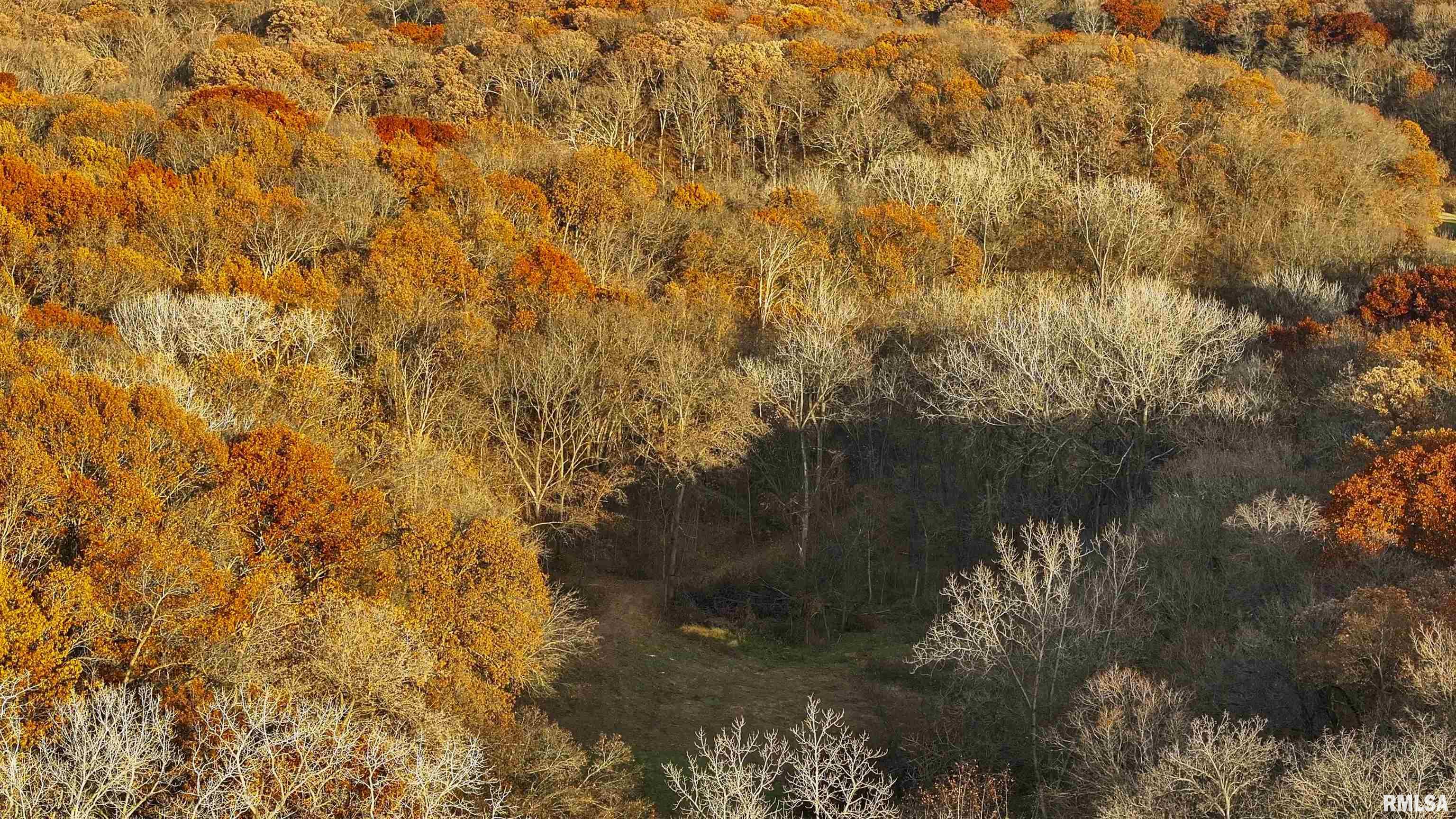 0 West Smithville Road Trivoli, IL 61569 - Photo 24 of 37