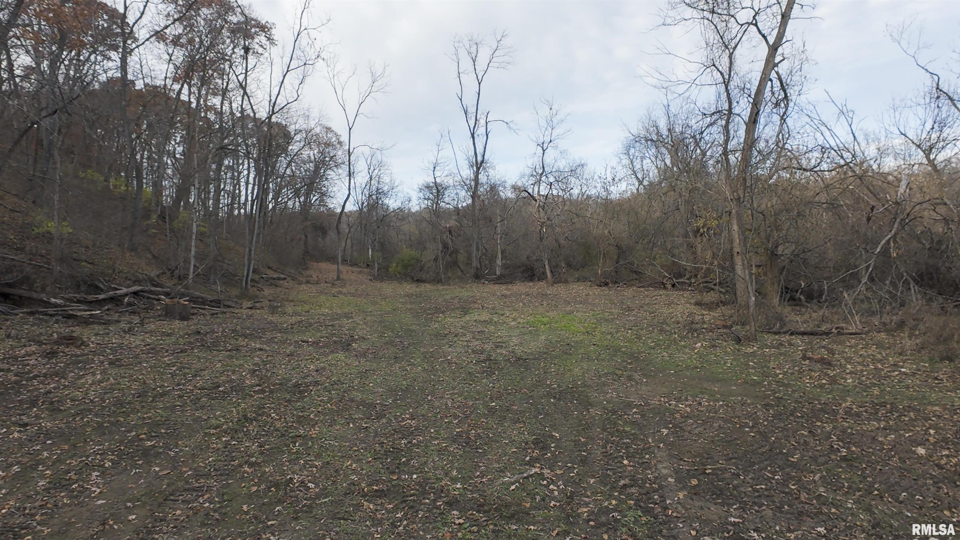 0 West Smithville Road Trivoli, IL 61569 - Photo 26 of 37