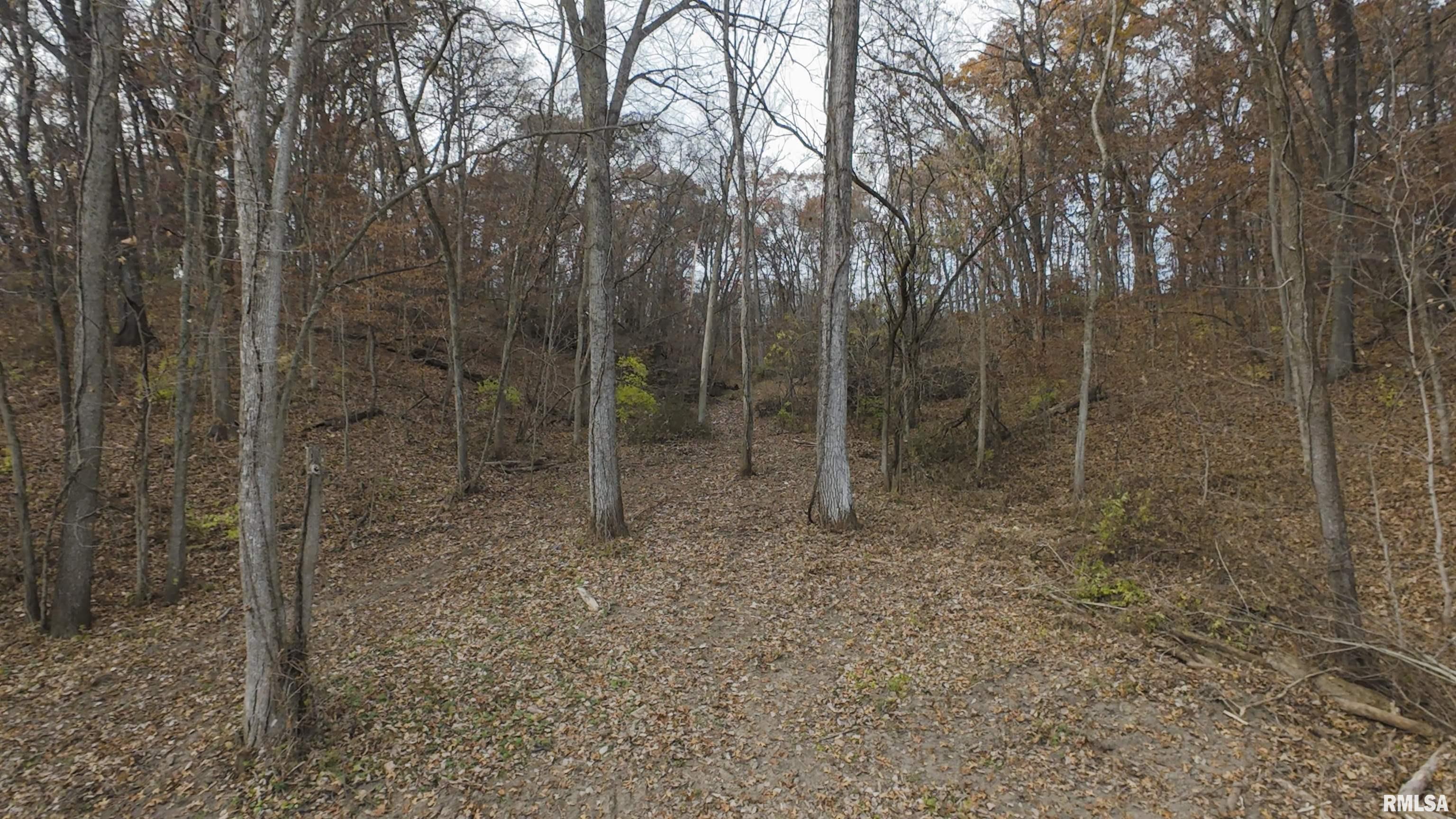 0 West Smithville Road Trivoli, IL 61569 - Photo 27 of 37