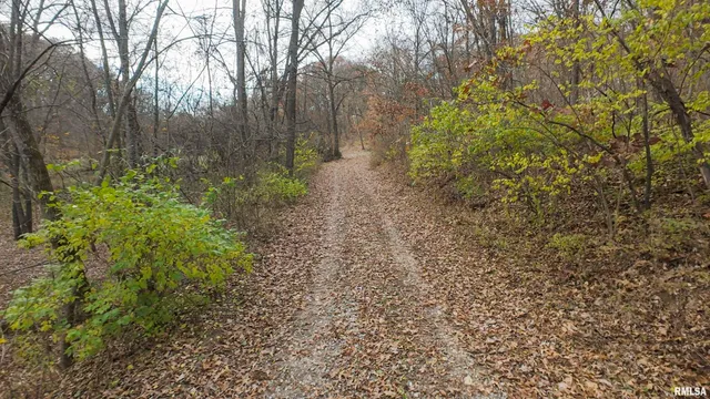 $495,600 | 0 West Smithville Road, Trivoli, IL 61569